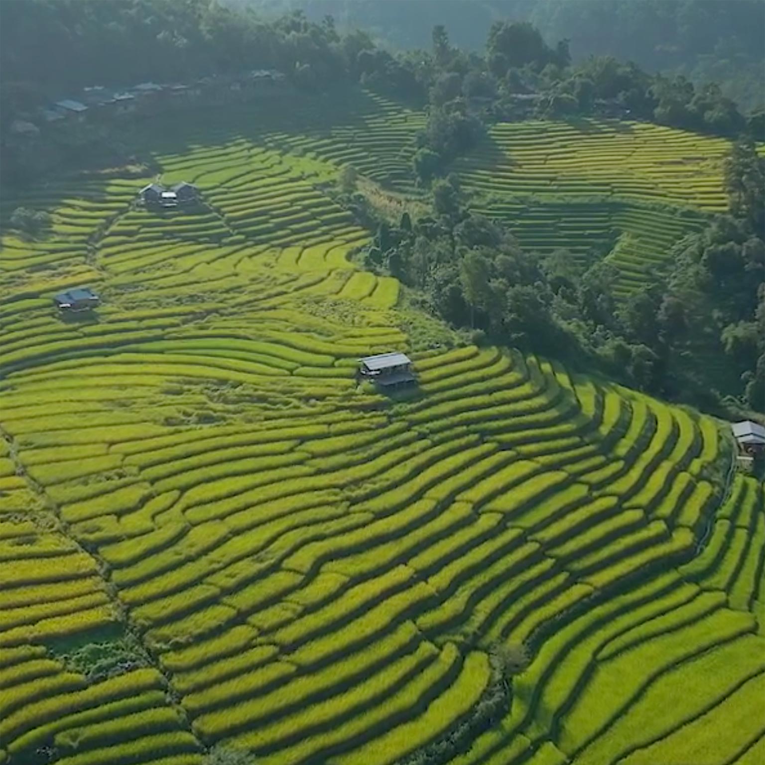 Philippines Growth Dialogues