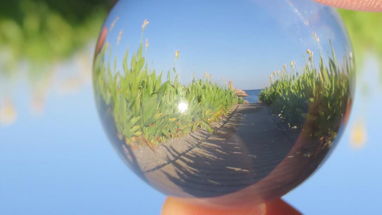 Commercial excellence: Your path to growth