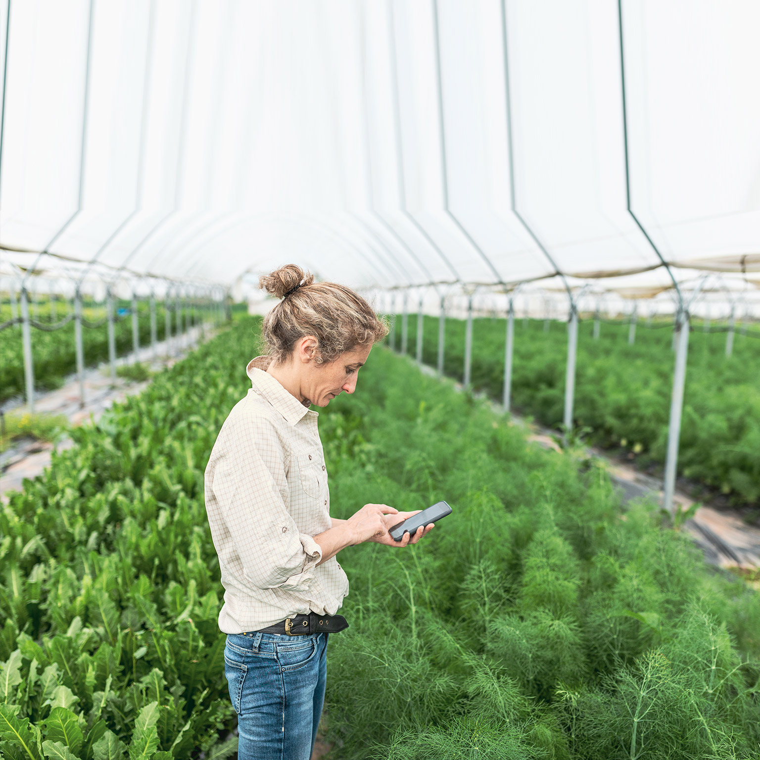 Cultivating the omnichannel farmer