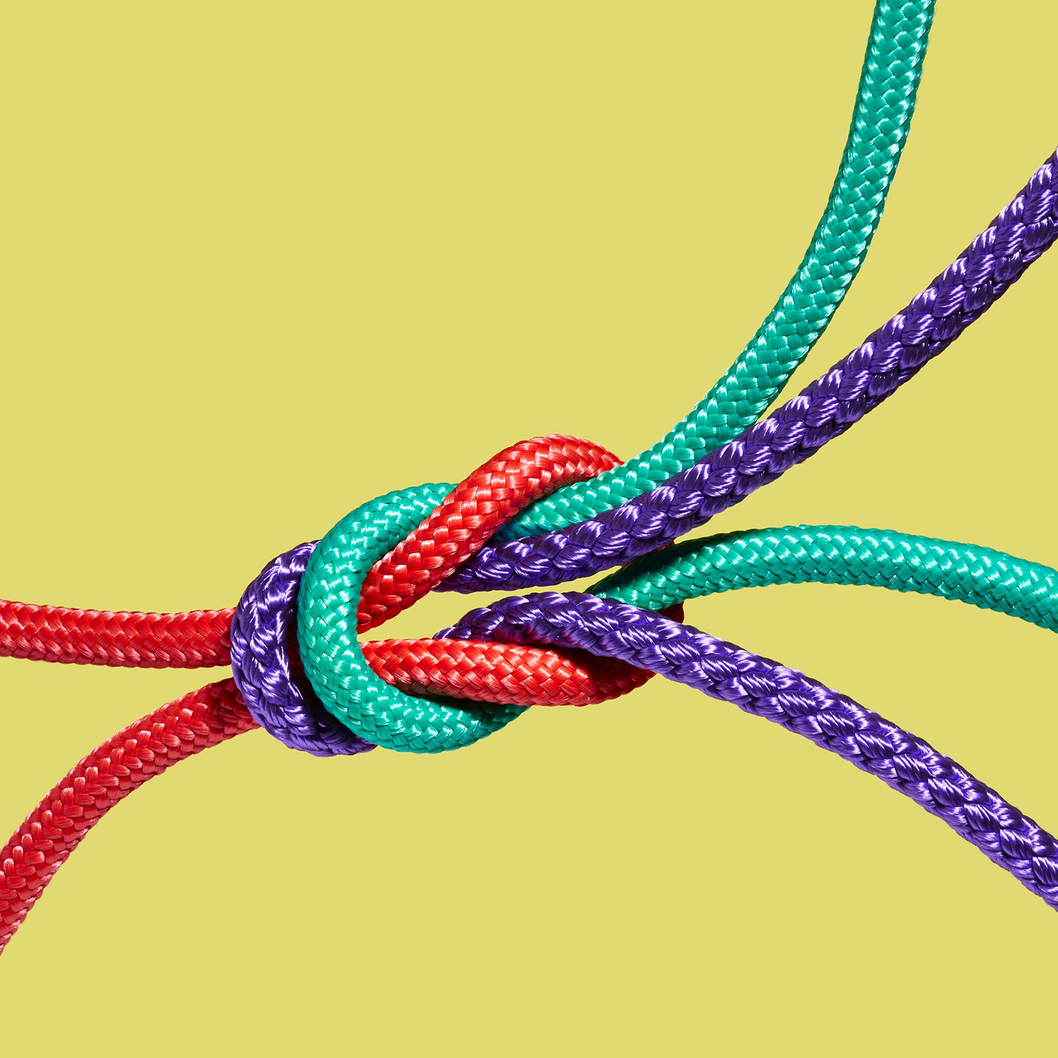 How to unlock marketing-led growth: Data, creativity, and credibility