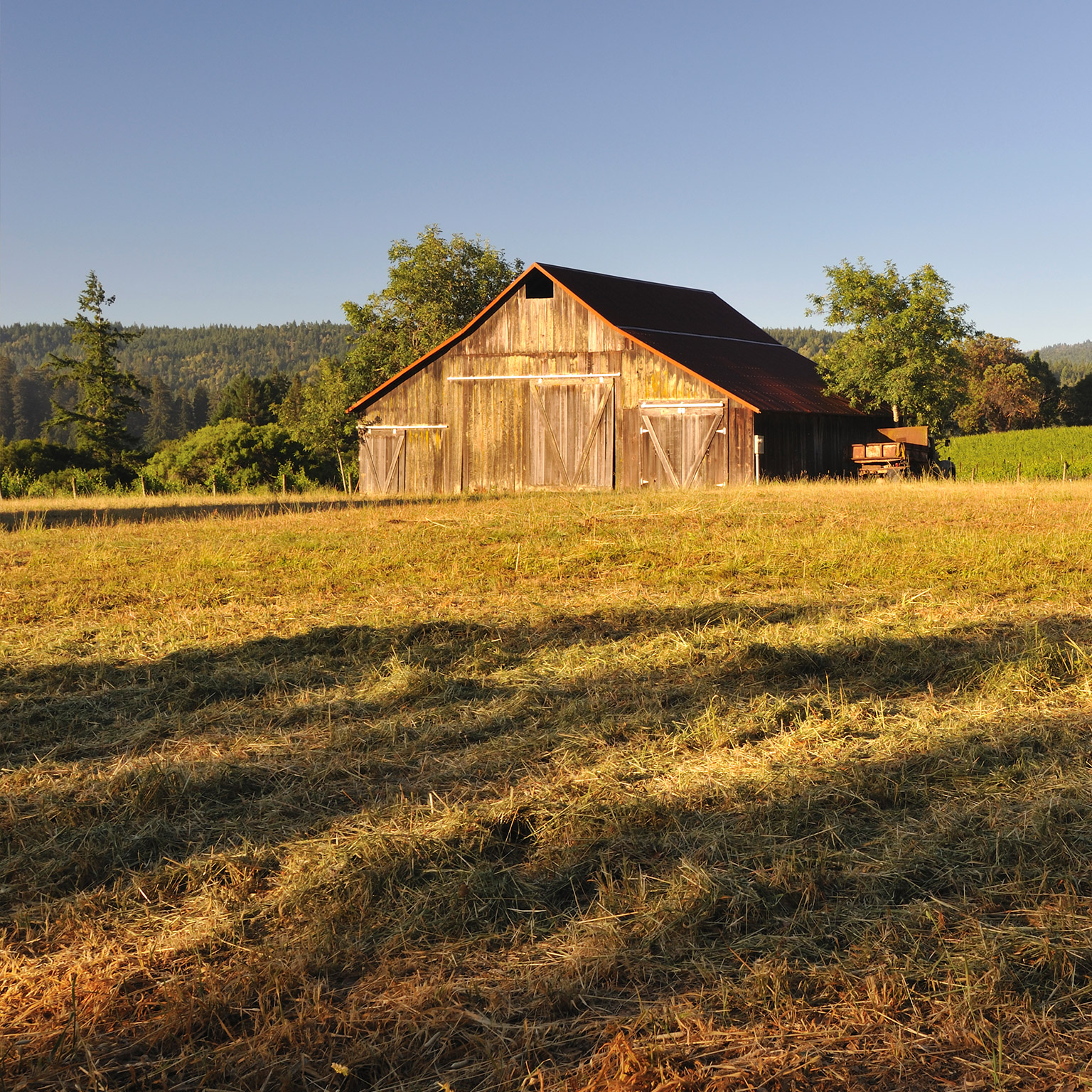 Image_hero-three-ways-selling-app