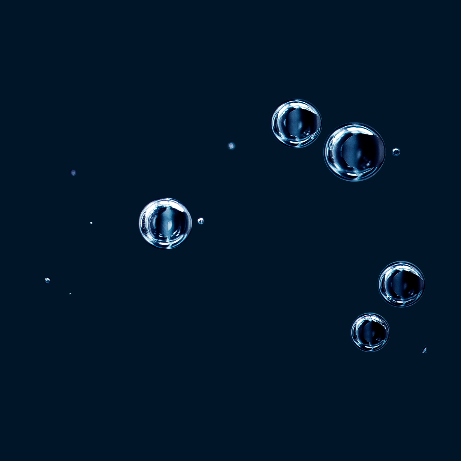 Holiday shopping 2020 press release