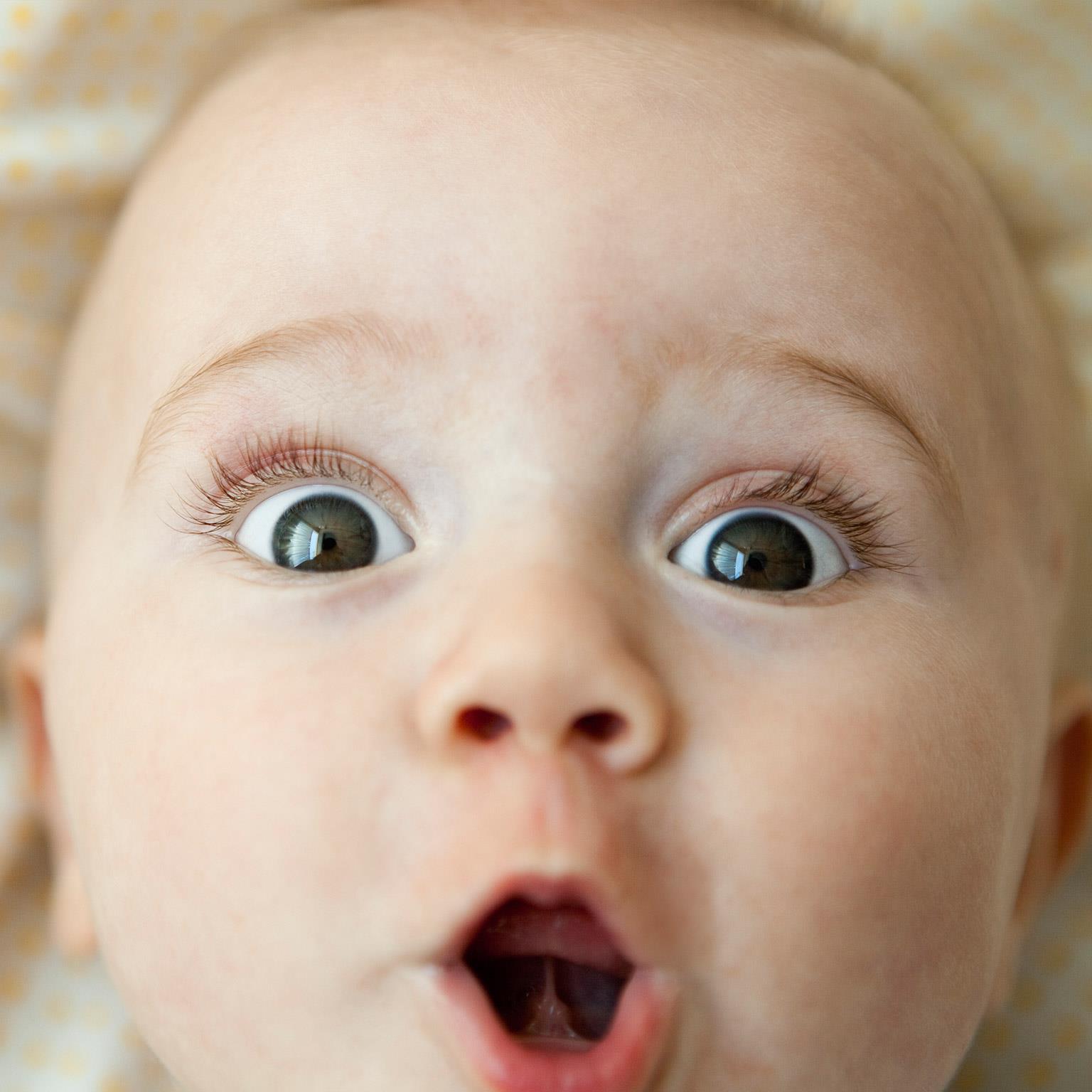 surprising-truth-1536x1536_Standard