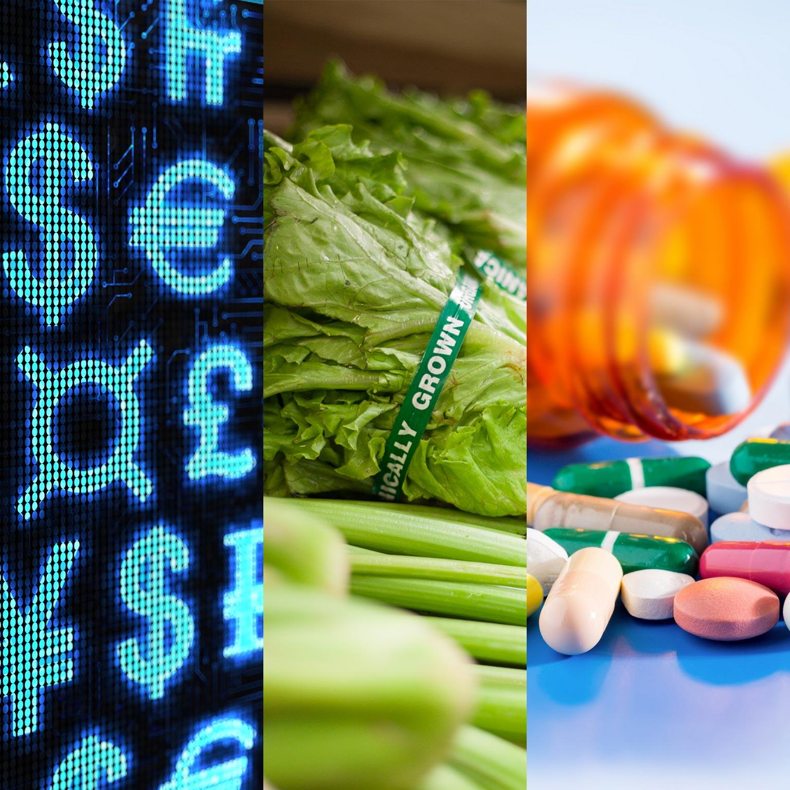 Three-Snapshots_1536x1536_300_Standard