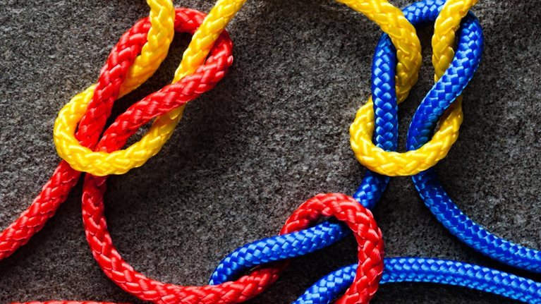 New order for law_1536x1536_Original