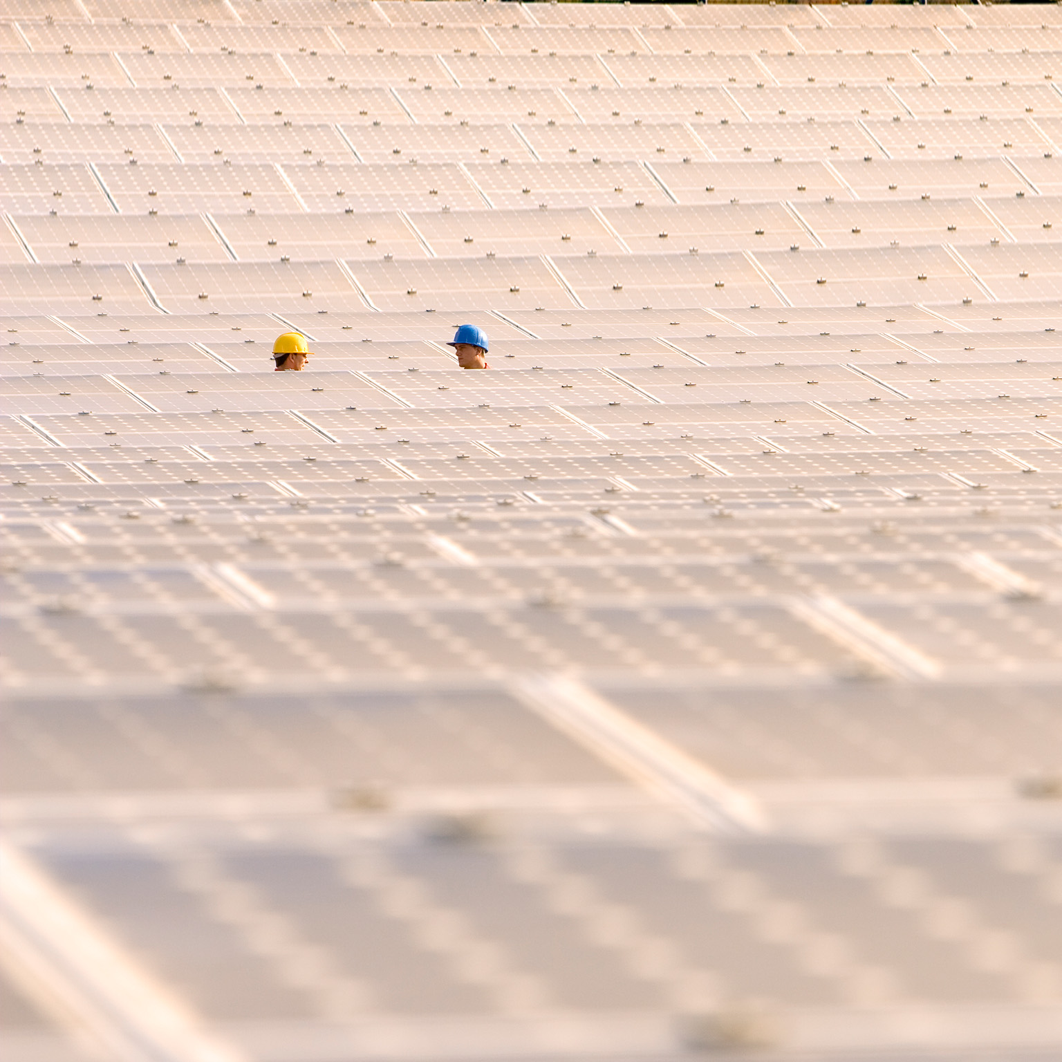 Capturing the net-zero opportunity with portfolio synergies