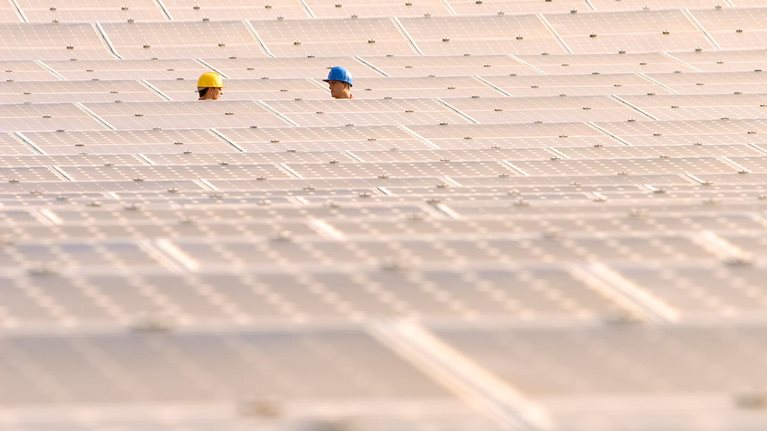 Capturing the net-zero opportunity with portfolio synergies