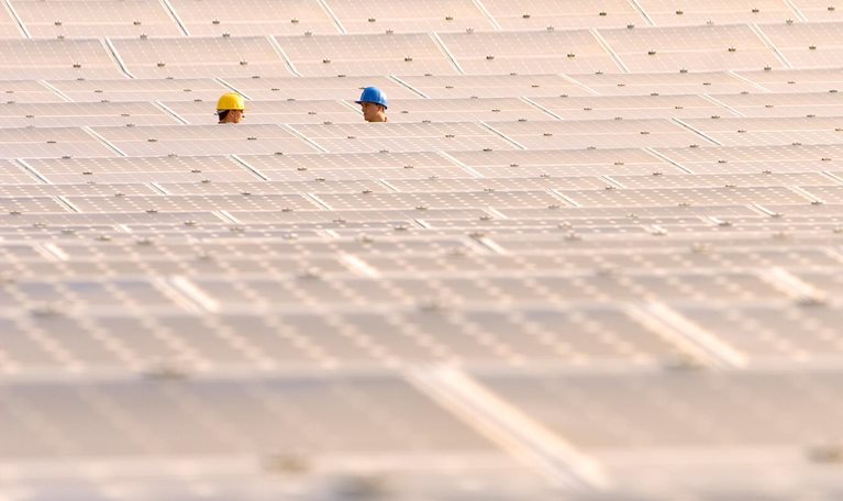 Capturing the net-zero opportunity with portfolio synergies
