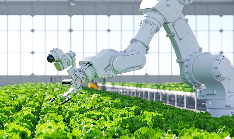 A robotic arm, equipped with sensors and grippers, is positioned over a field of green lettuce in a commercial greenhouse.