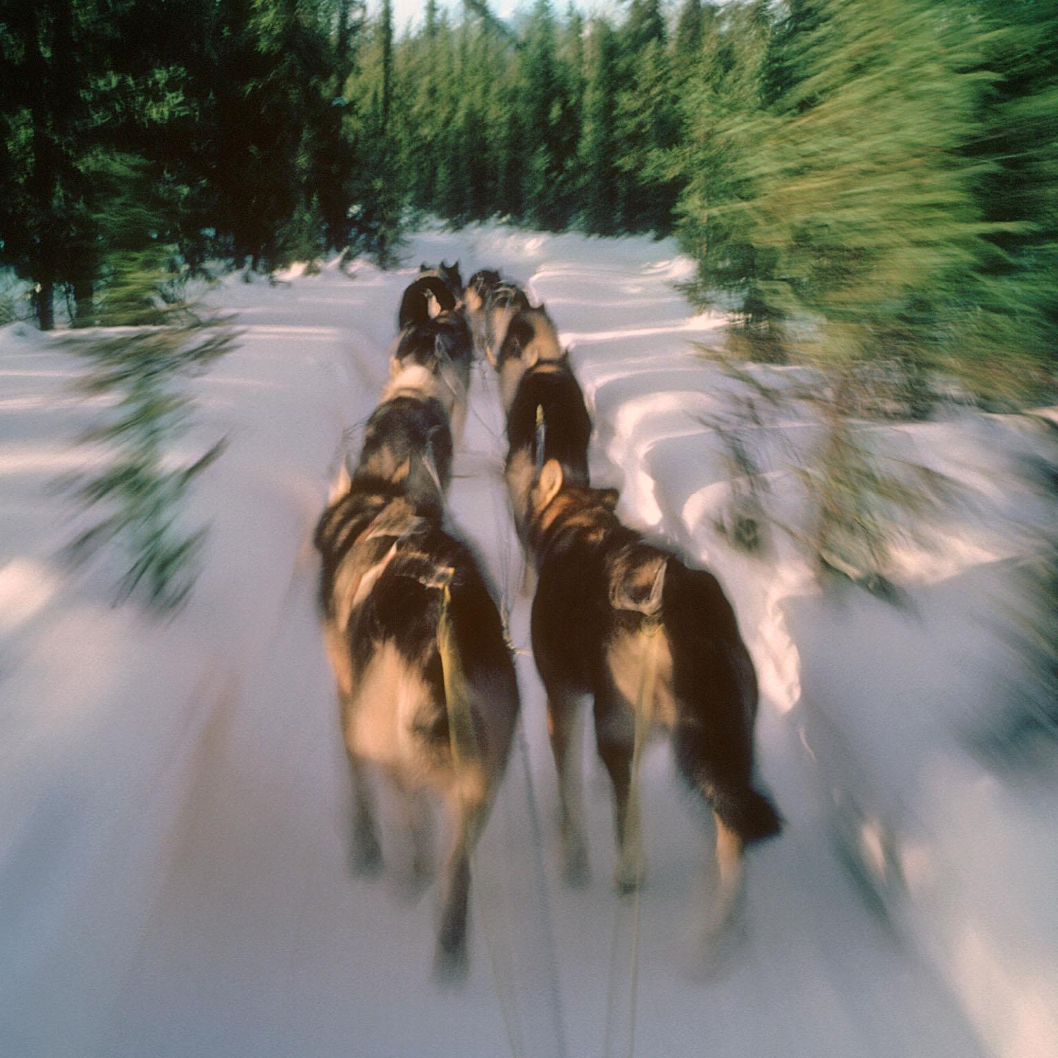 Power-of-collective-action-1536x1536-100 offset_Standard