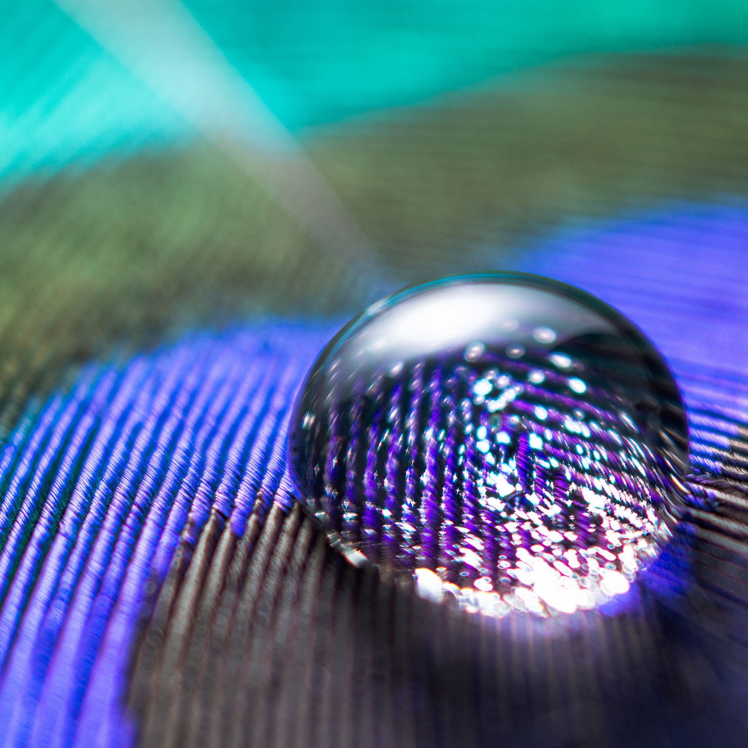 Why you need a CTO—and how to make her successful