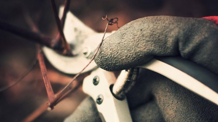 Zero-based budgeting revisited: Why this time is different