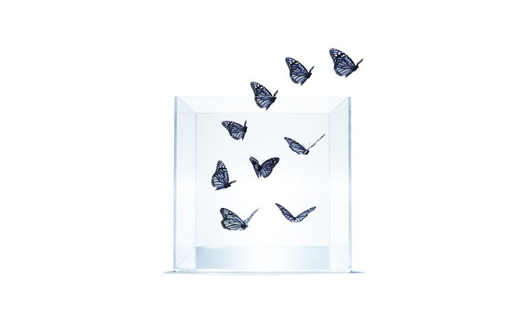 Photo of monarch butterflies flying out of glass jar