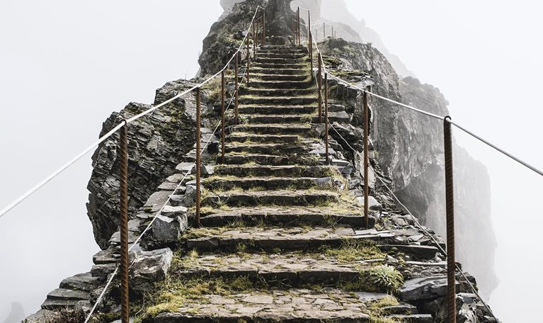 The search for purpose at work