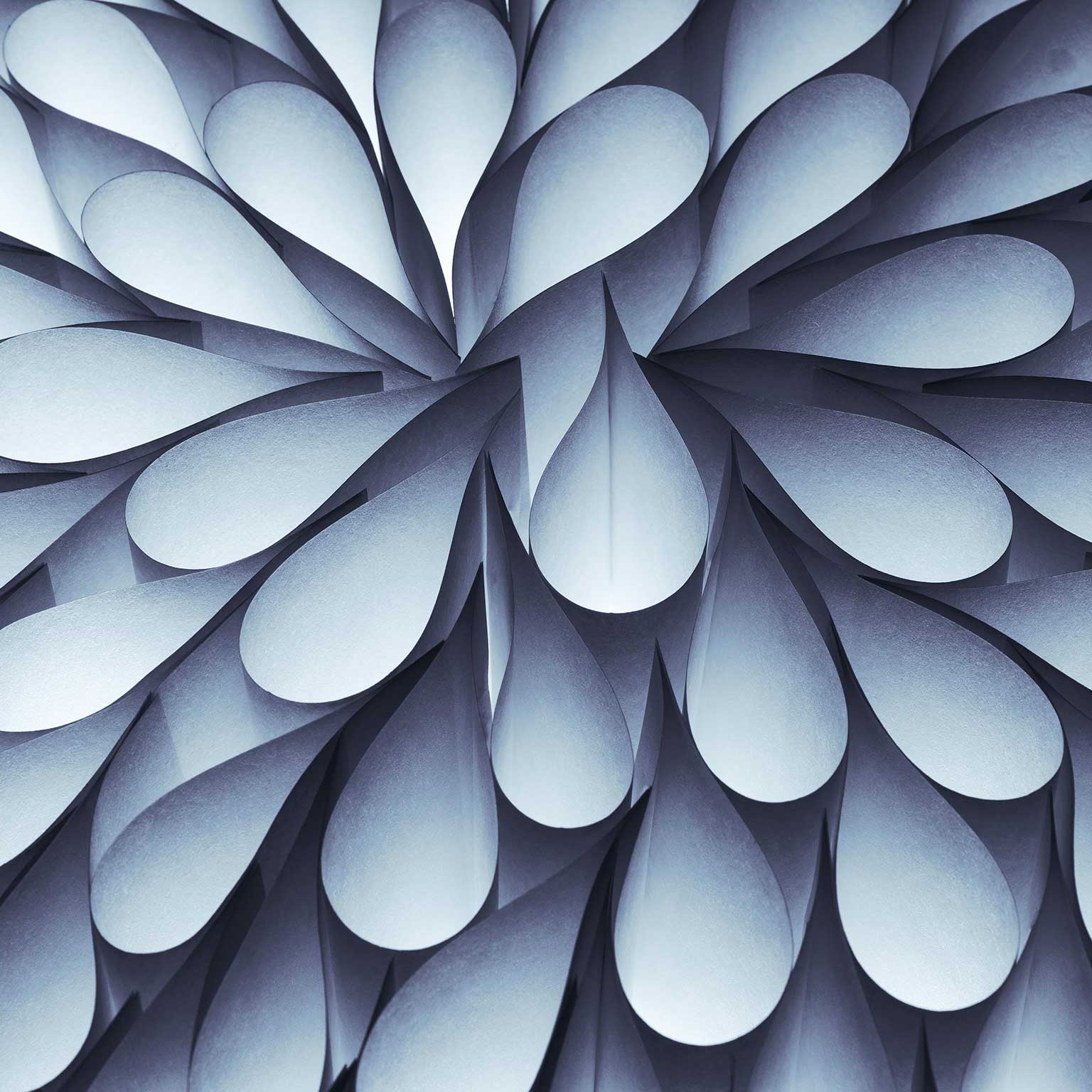 Leadership in a crisis