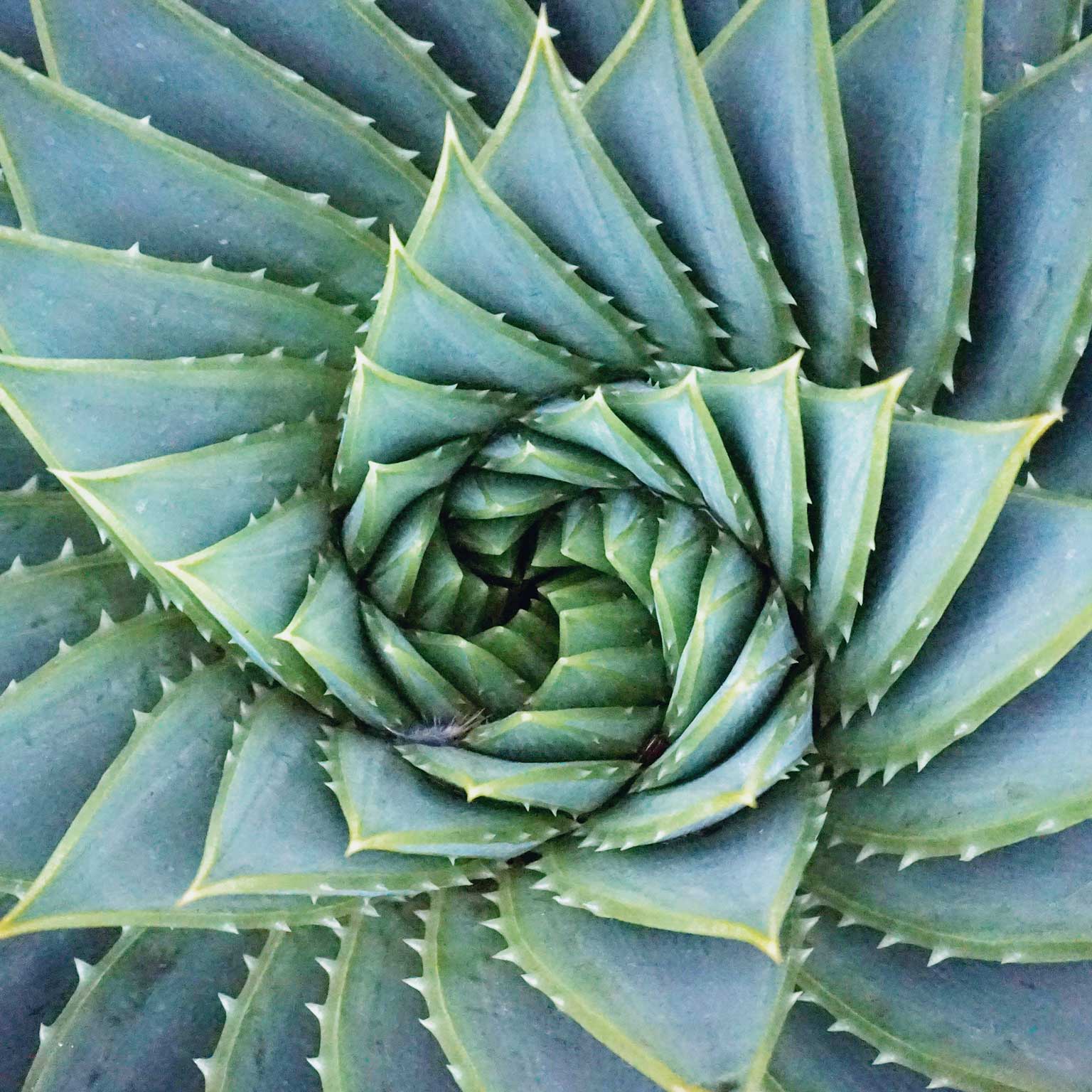 Building agile capabilities: The fuel to power your agile ‘body’