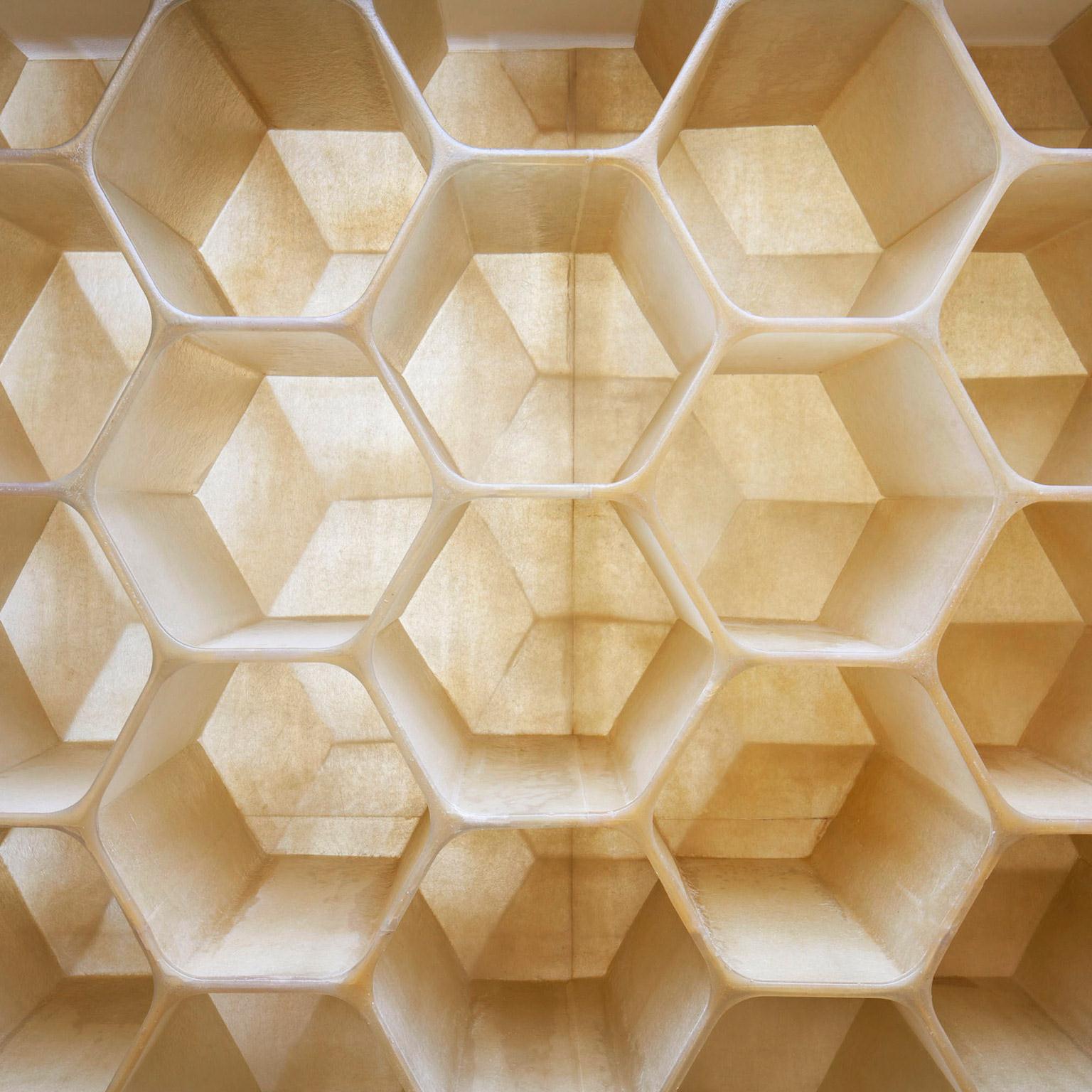 Change_hives_1536x1536_Original