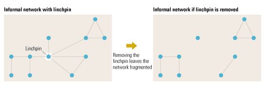 Image_The missing link_2