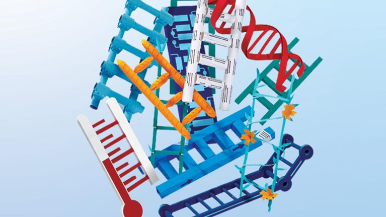A woman is holding a blueprint featuring various types of ladders. She stands next to a cluster of ladders, each uniquely shaped to represent different career paths: biotech, technology, architecture, food services, and more. One of the ladders extends straight upward.
