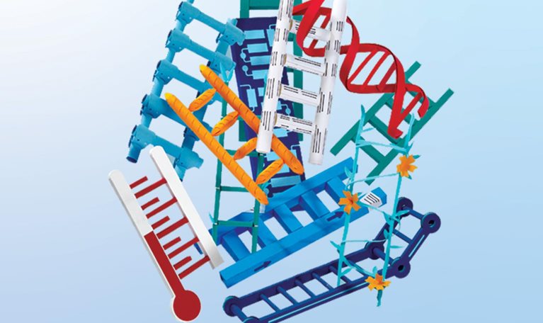 A woman is holding a blueprint featuring various types of ladders. She stands next to a cluster of ladders, each uniquely shaped to represent different career paths: biotech, technology, architecture, food services, and more. One of the ladders extends straight upward.