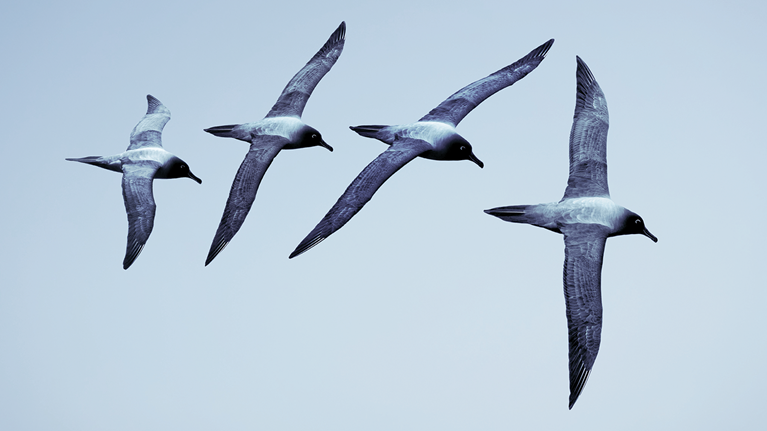 The boss factor: Making the world a better place through workplace relationships