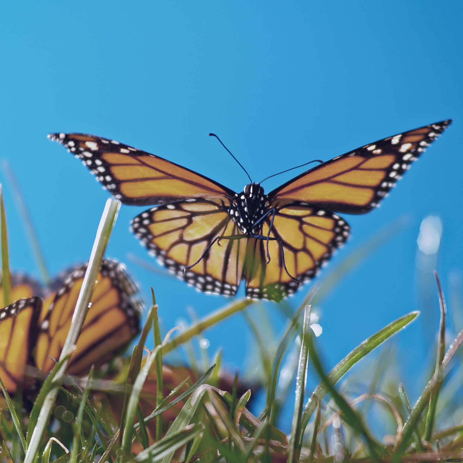 The forgotten step in leading large-scale change