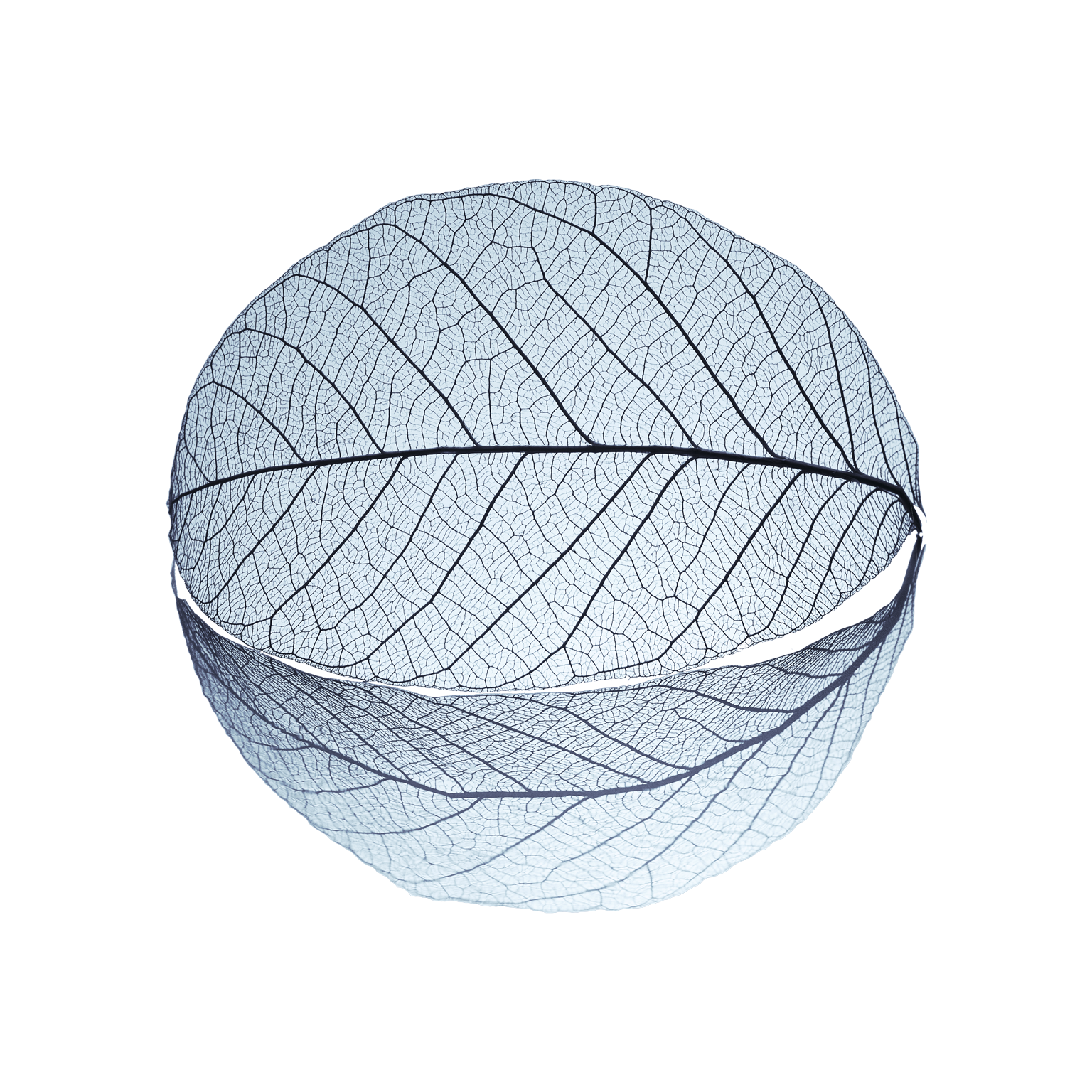 Banking imperatives for managing climate risk