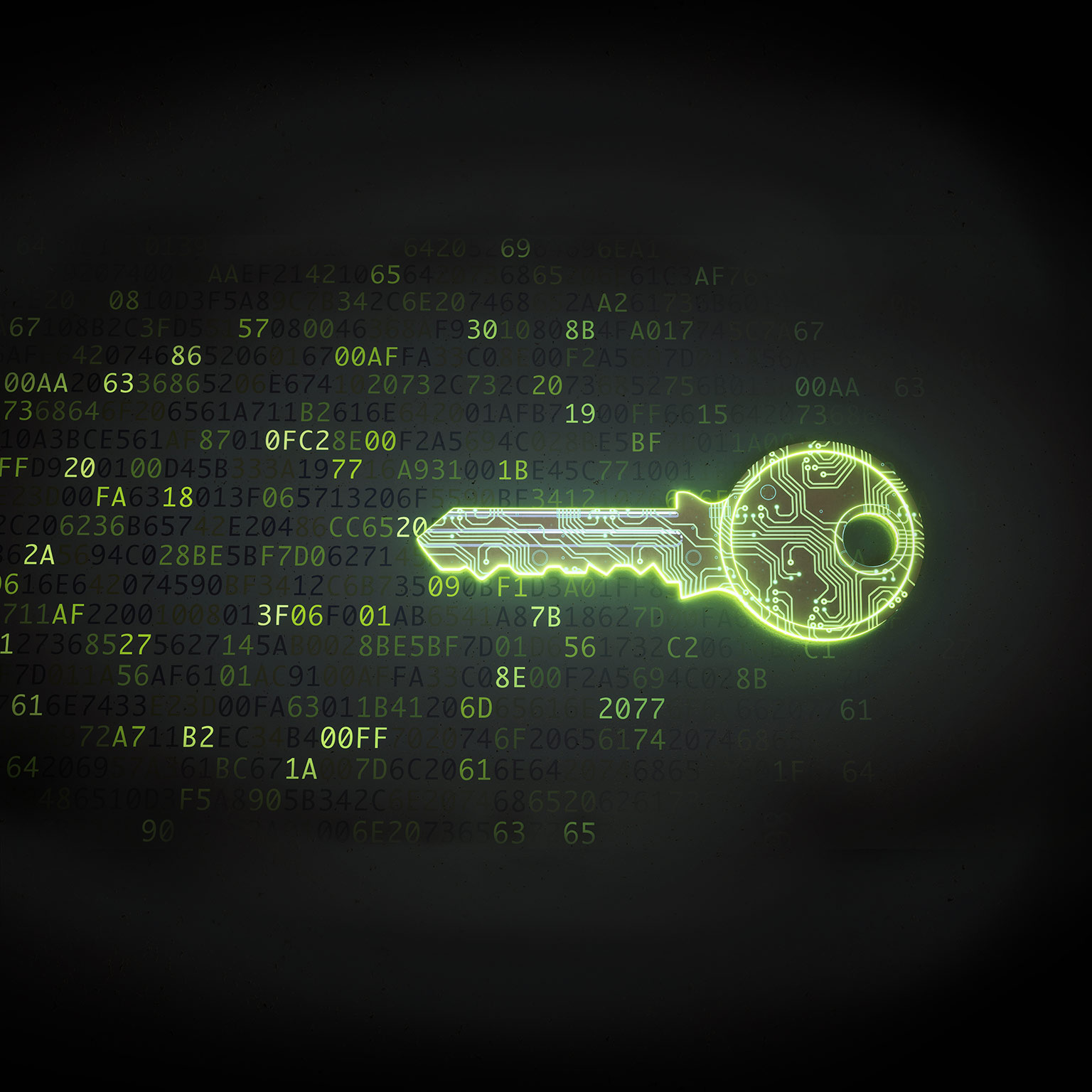 Data privacy: What every manager needs to know