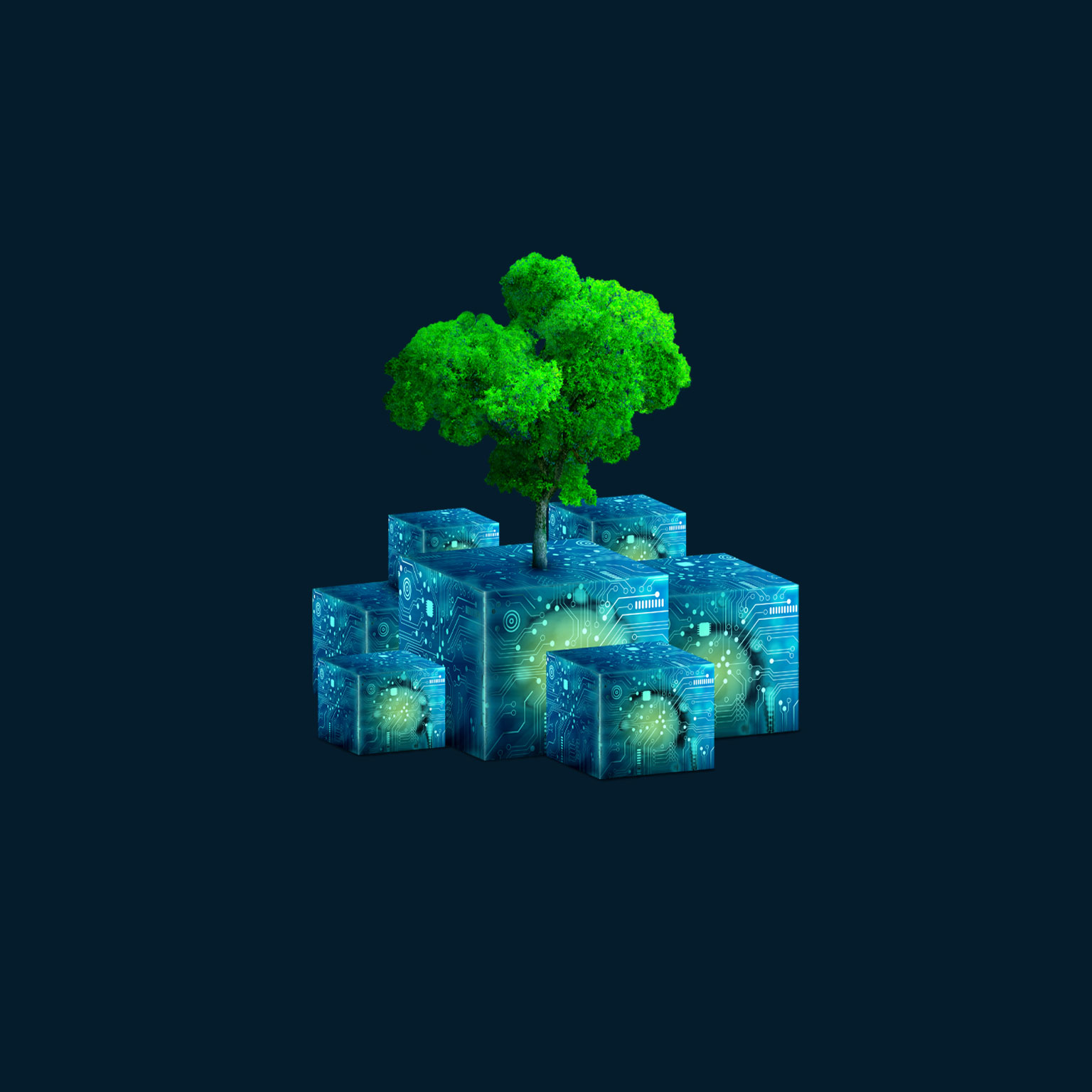 Emerging from a cluster of digitally textured cubes, a vibrant young tree stands tall, flourishing with health and lush greenery.