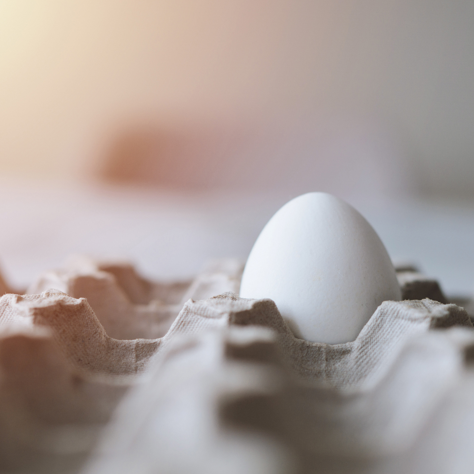 Cash preservation in response to COVID-19