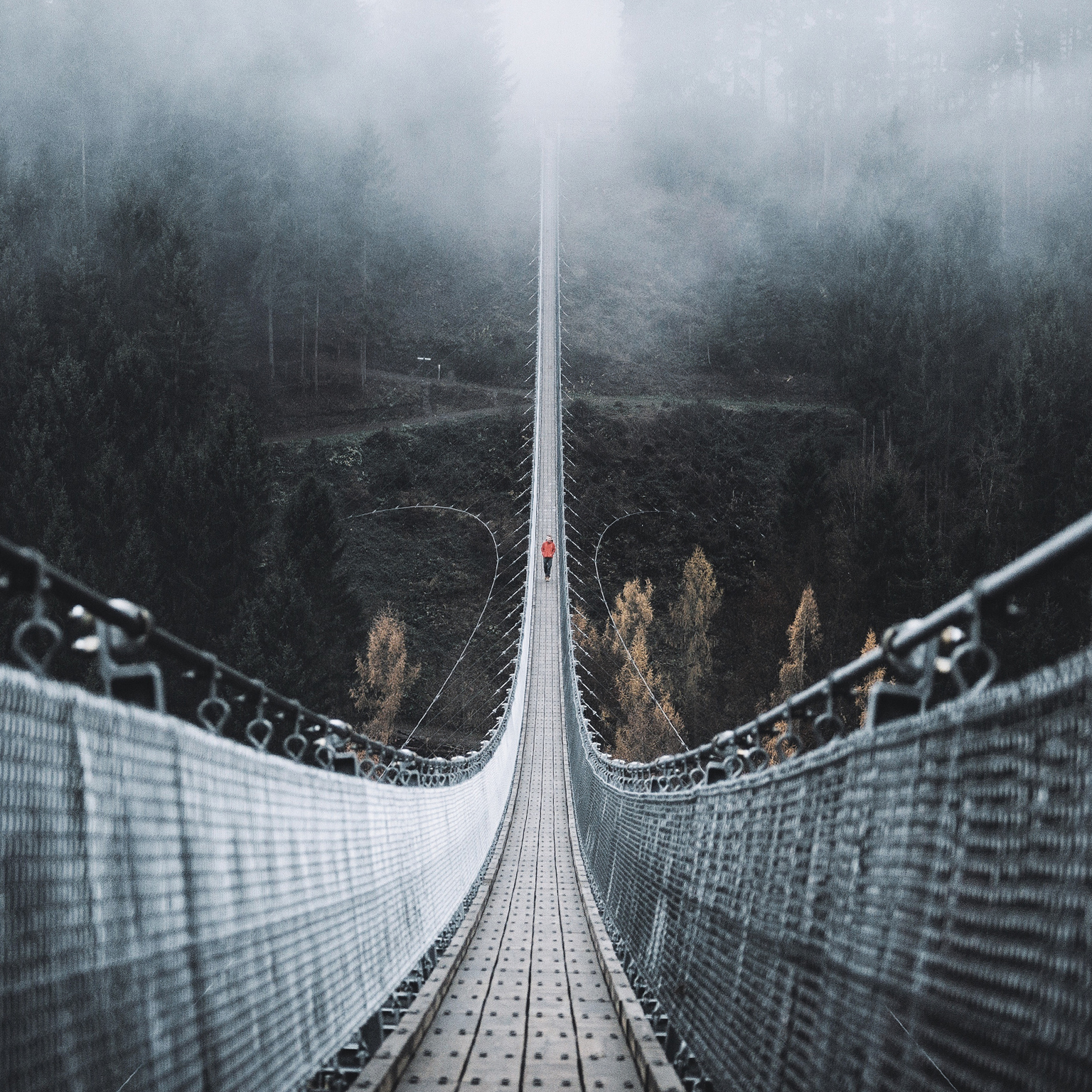 COVID-19: Strategies for getting ahead of the pandemic crisis