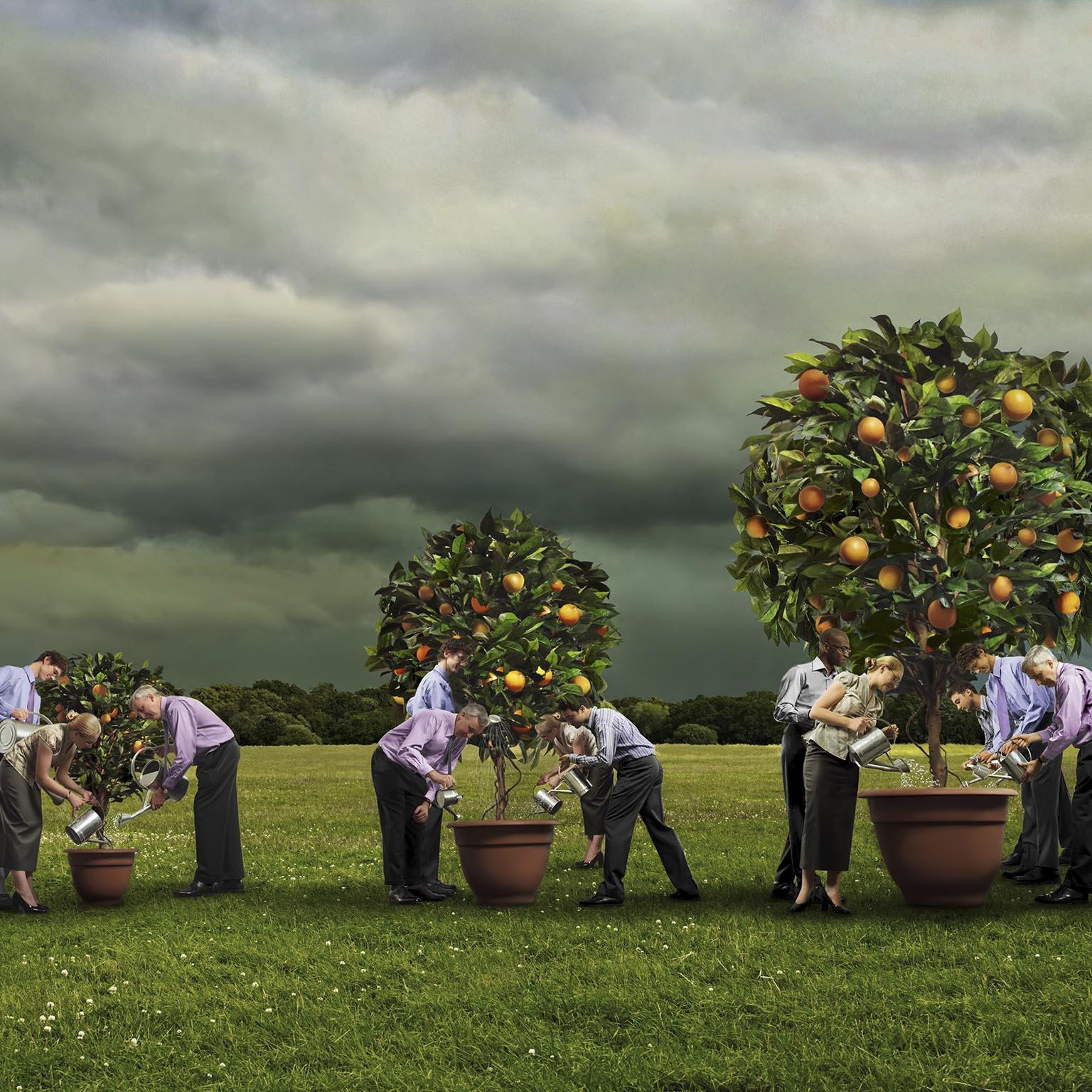 How_we-did-it_1536_1536_500_Standard