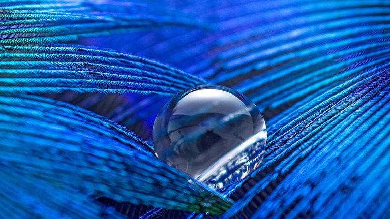 Image of a water drop sitting on the intersection of two blue feathers.