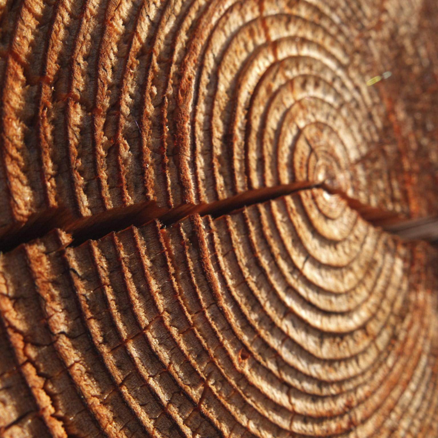 power_of_enduring_companies_1536x1536_Original