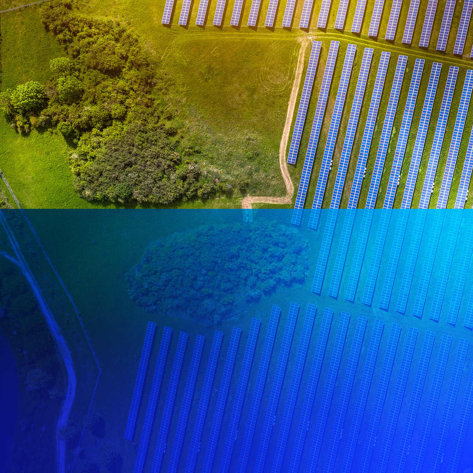 Sustainability campaign