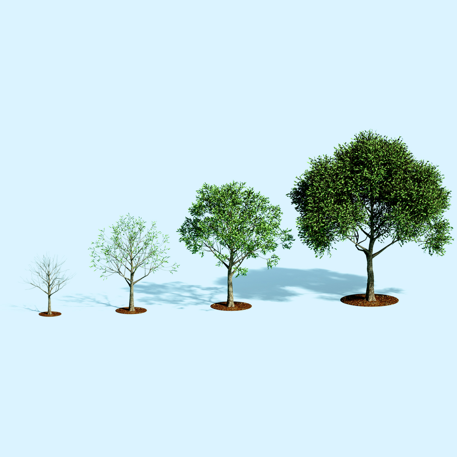 Digital generated image of vertical bar chart made out growing trees showing process of tree's growth