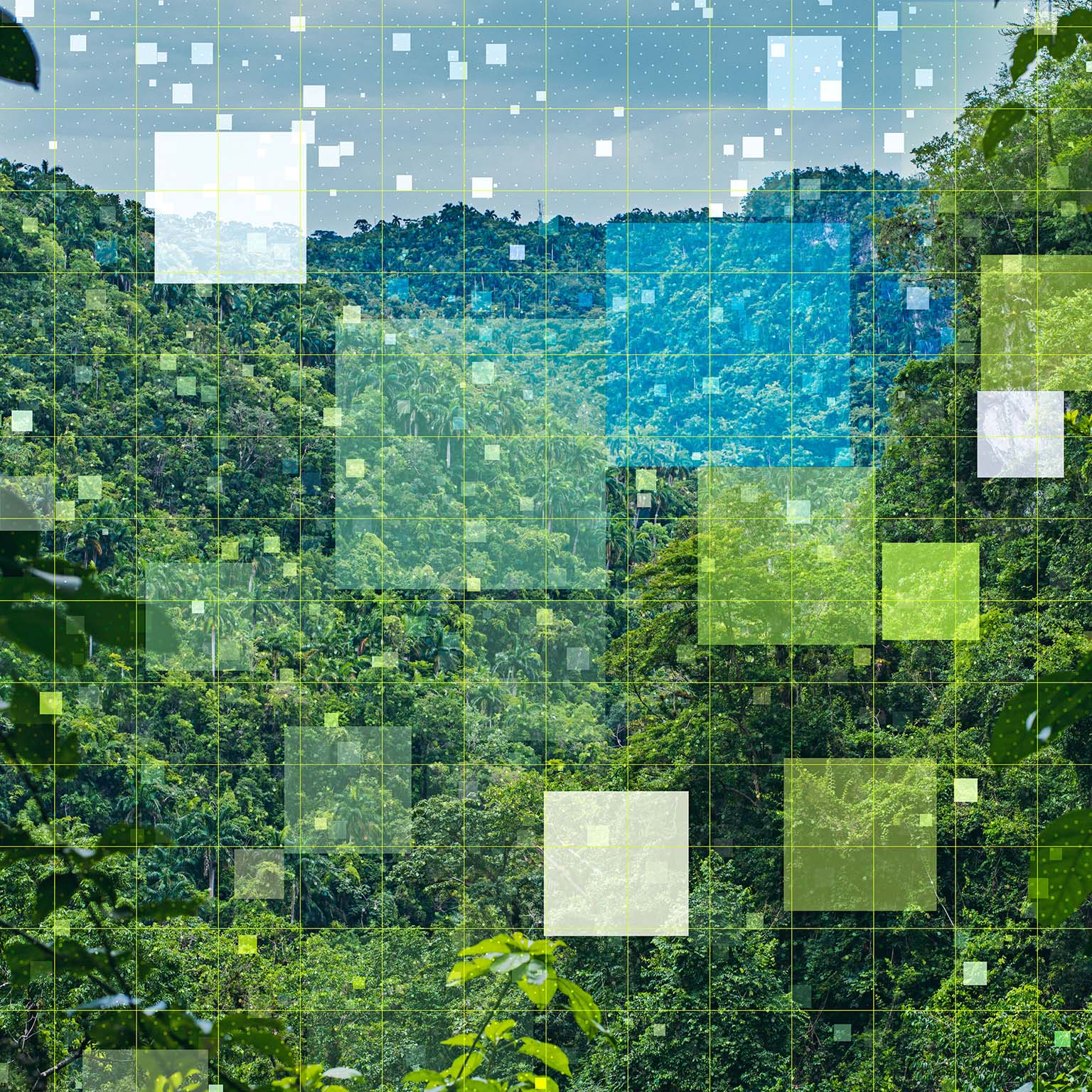 A photo of a lush green landscape with a digital overlay of squares