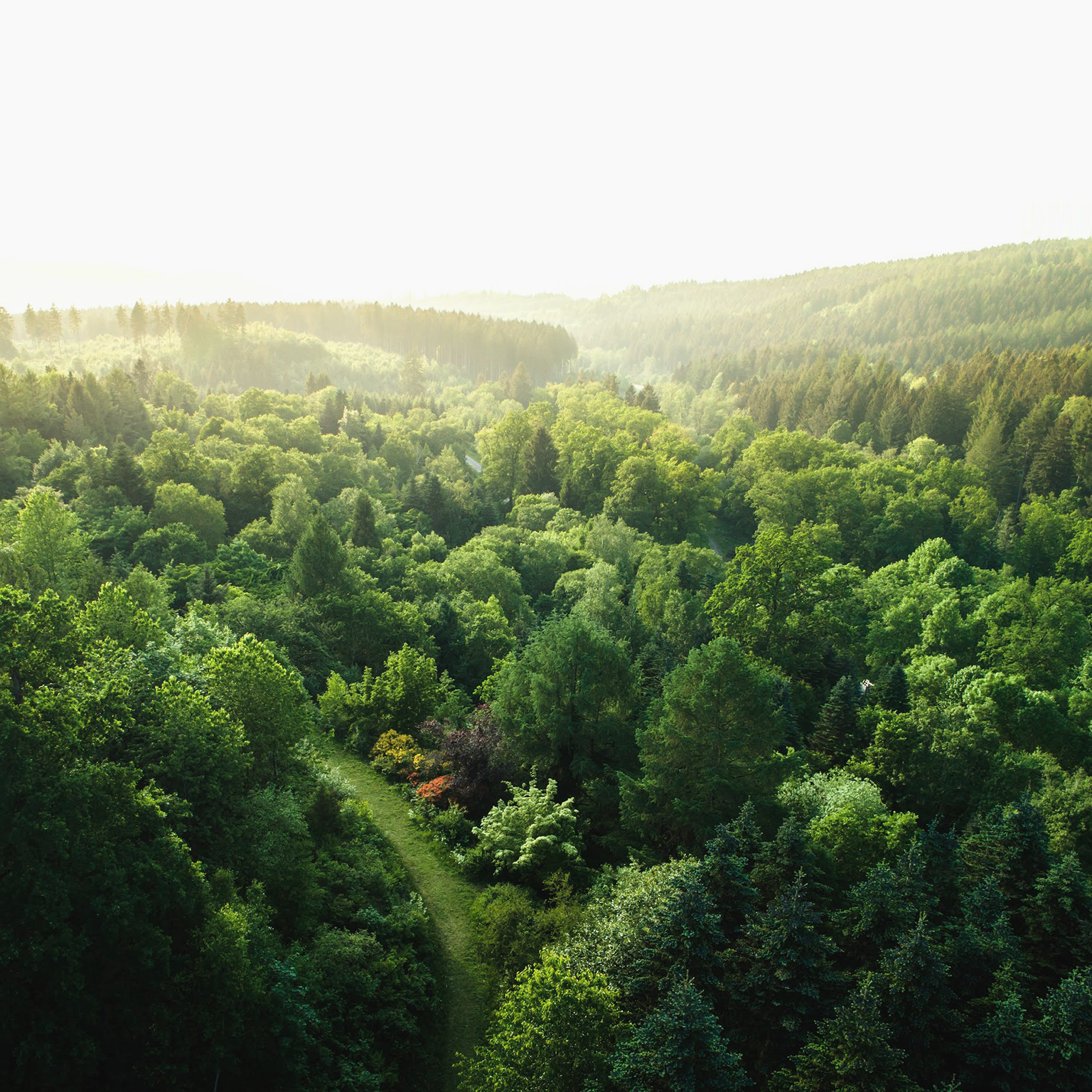 How the voluntary carbon market can help address climate change