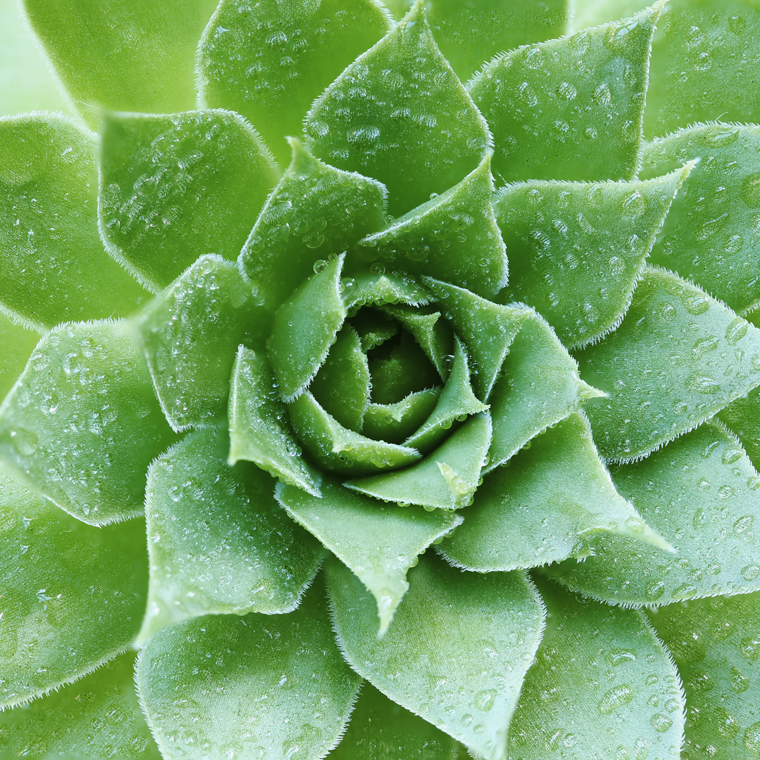 Organizing for sustainability success: Where, and how, leaders can start