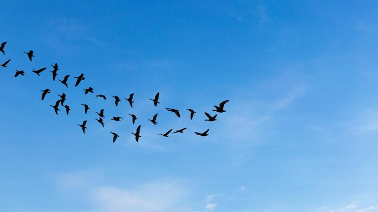 Spotting green business opportunities in a surging net zero world