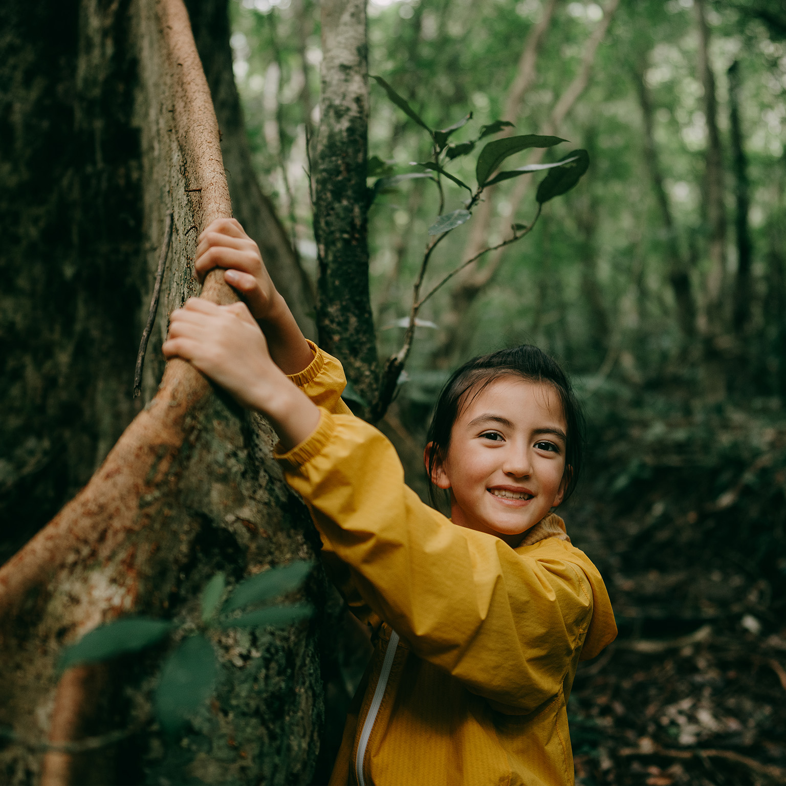 Young girl with buttress roots in a jungle in Okinawa, Japan