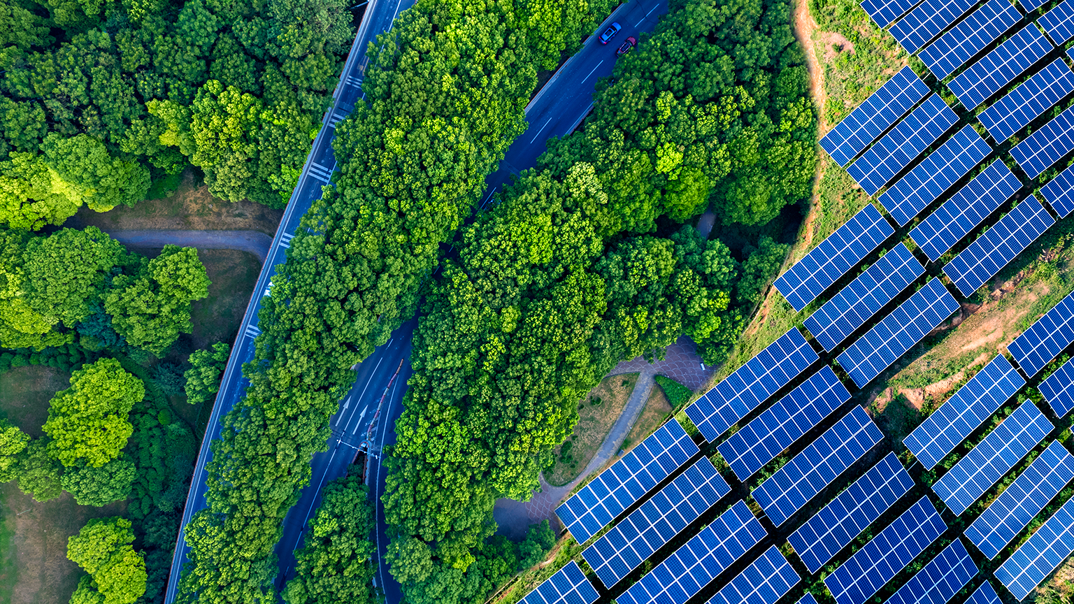 At COP15, new urgency on what governments and companies can do to restore natural capital