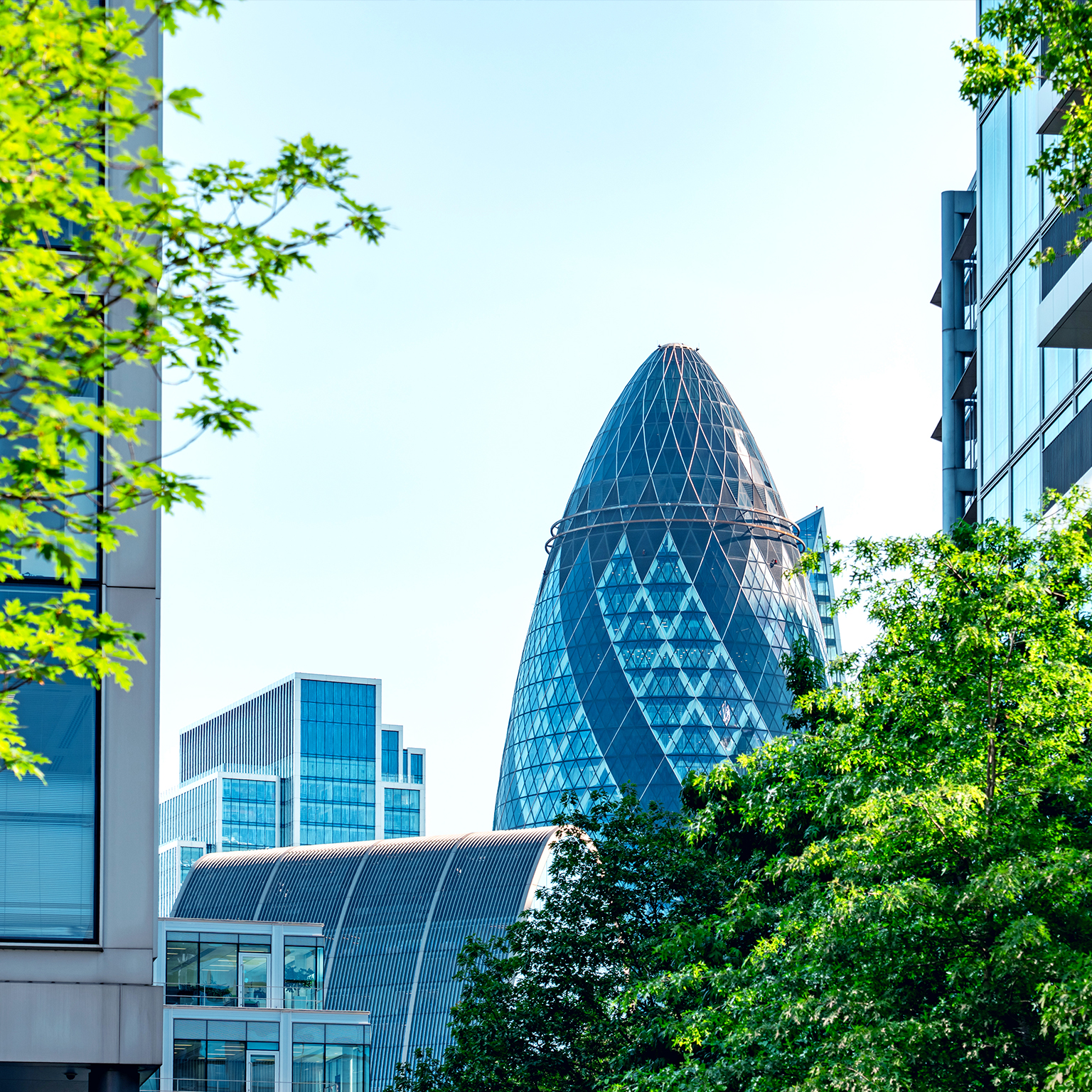 Green leaves framing the gherkin in london's financial district 