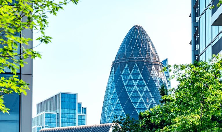 Green leaves framing the gherkin in london's financial district