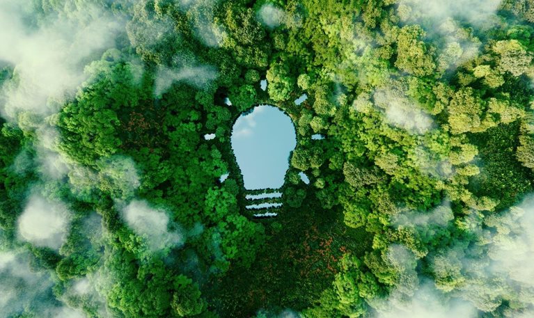 Sustainability in Action