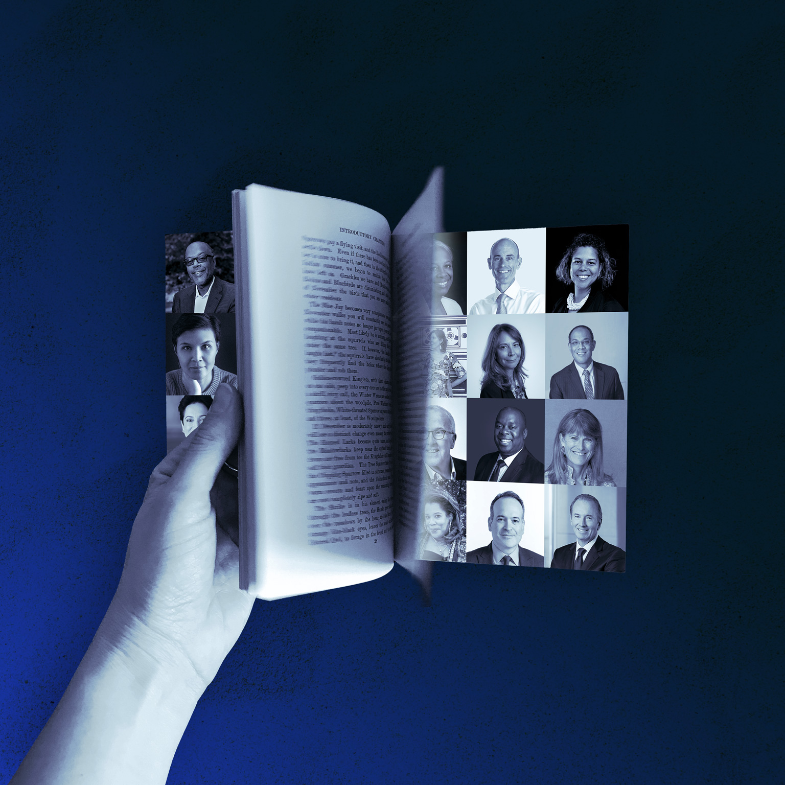 We still know what you’re reading this summer