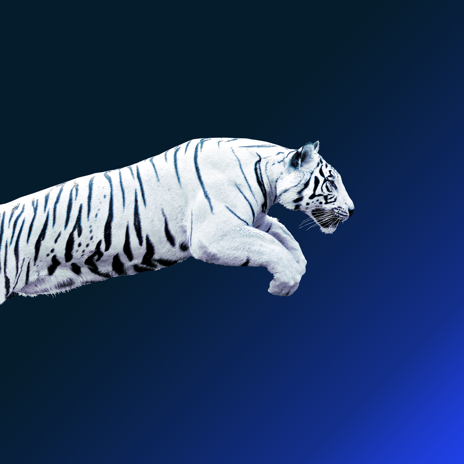 The future of Asia: Asian flows and networks are defining the next phase of globalization