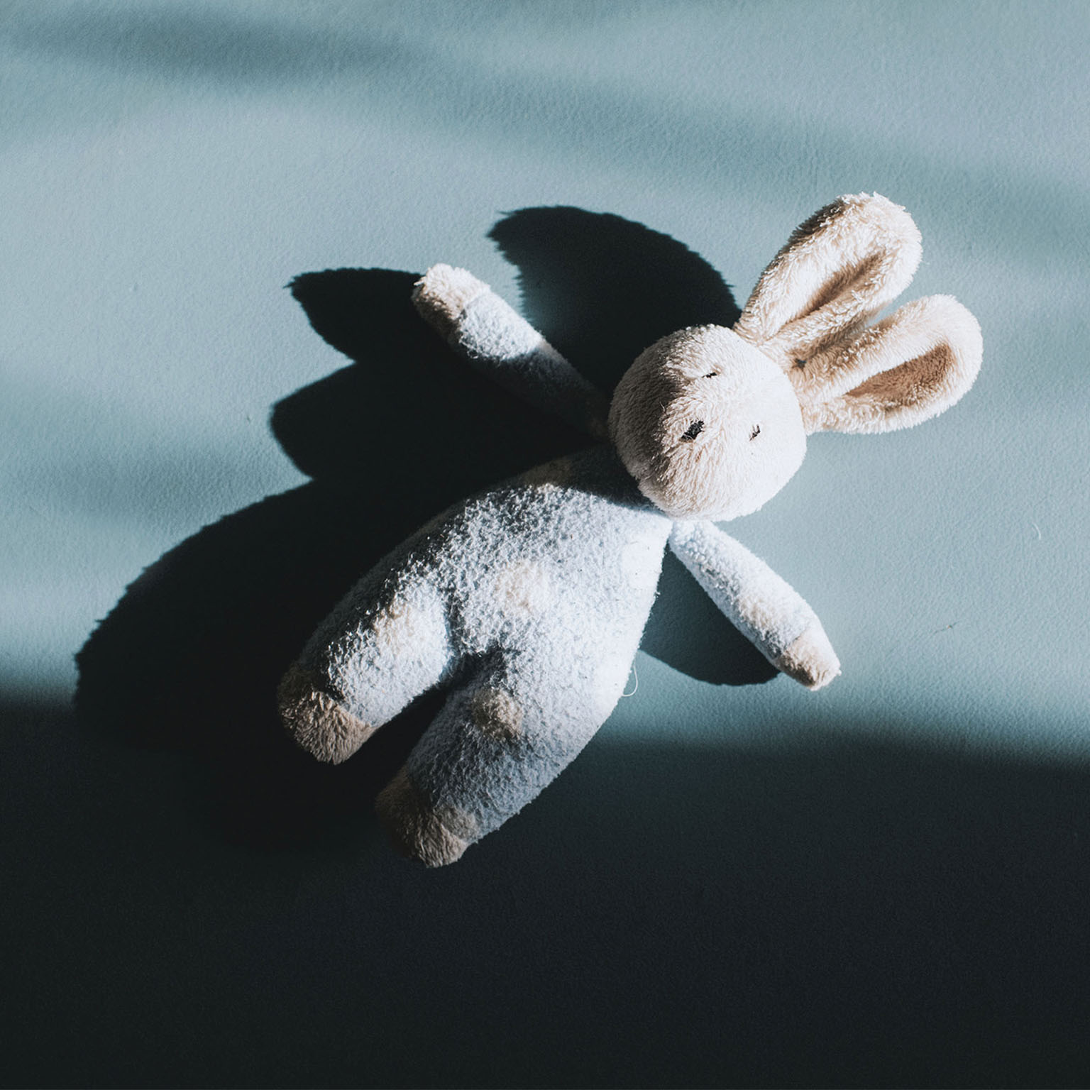 Small toy bunny