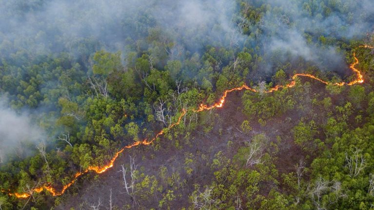 Tackling climate and pandemic risk in Asia for the world