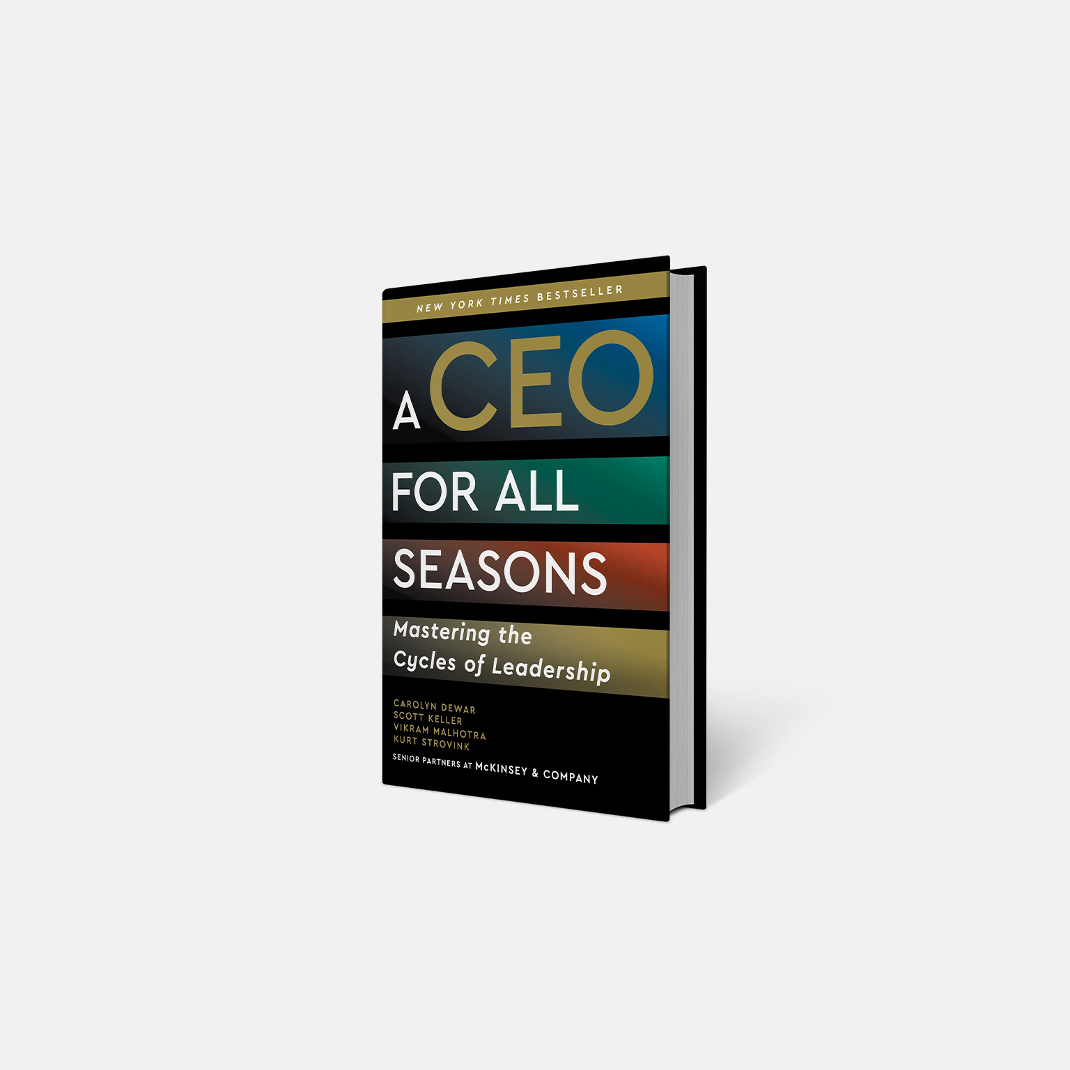 A CEO For All Seasons book jacket